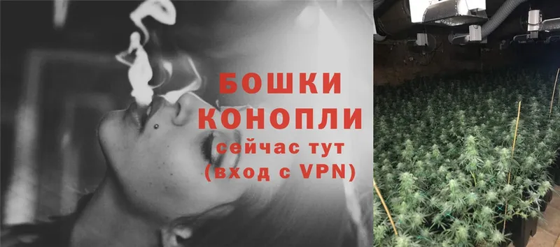 Каннабис OG Kush  Бирюсинск 